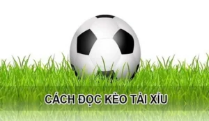 Phân Tích Chiến Thuật Chơi Kèo Tài Xỉu Hiệp 1 Hiệu Quả Nhất