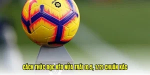 Phân Tích Chi Tiết Kèo Chấp 0.5 Và Chiến Thuật Chinh Phục Bảng Kèo Bóng Đá