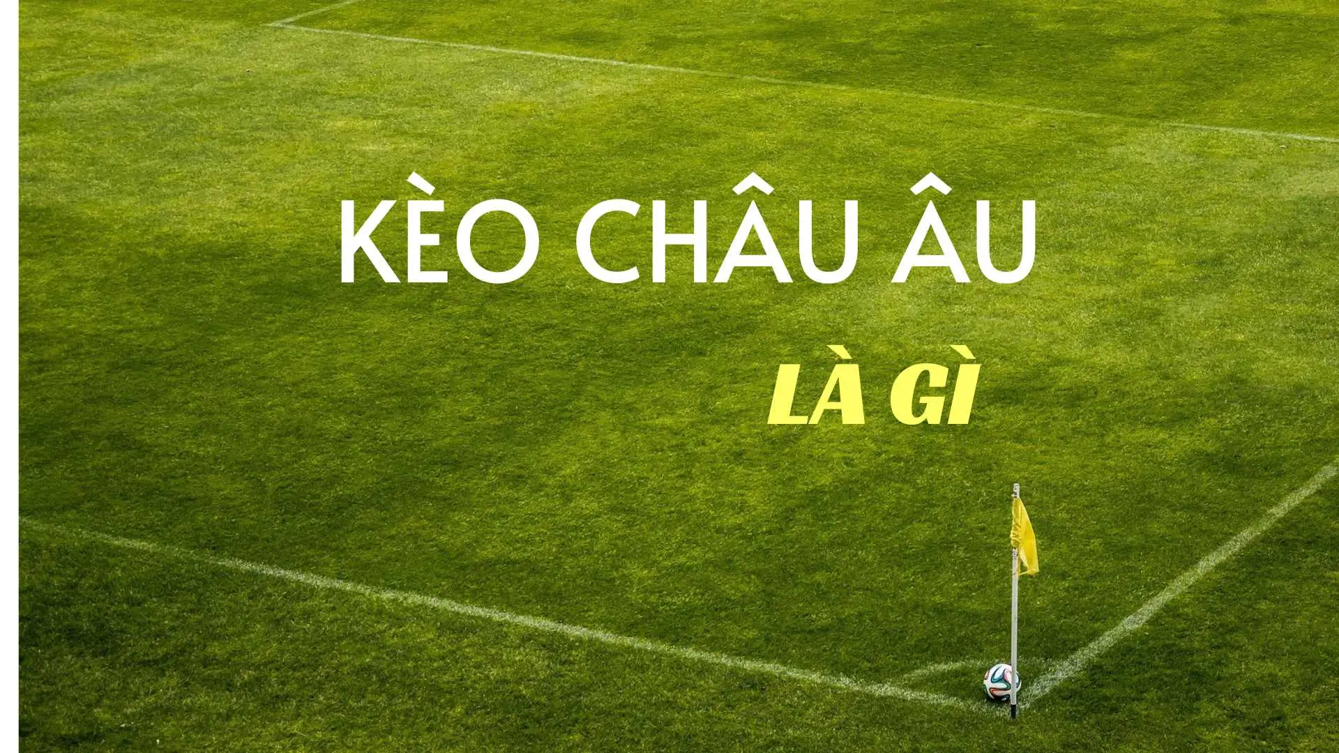 Hướng Dẫn Chi Tiết Cách Đọc Và Phân Tích Kèo Châu Âu Hiệu Quả