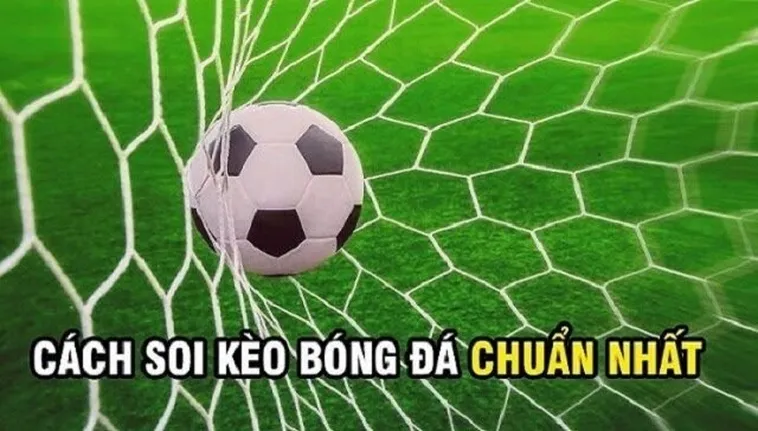 Tìm Hiểu Kèo Rung Trong Bóng Đá Và Chiến Thuật Chinh Phục Hiệu Quả